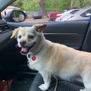 Meet your Posher, Tomeka